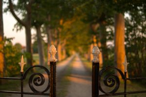 balanced portfolio concept of fence doors opening to a road path