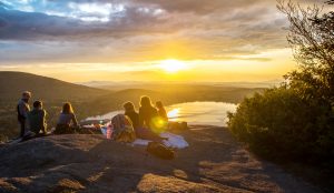 estate-plan-family-picnic-sunset